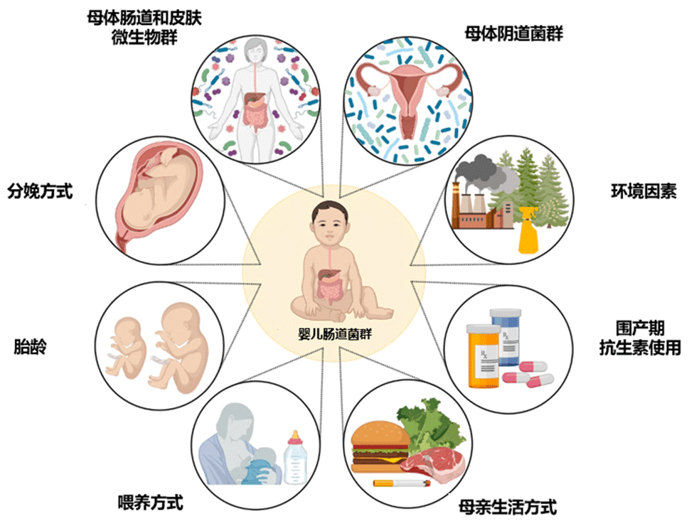 微信图片_2025-10-09_135641_768.png
