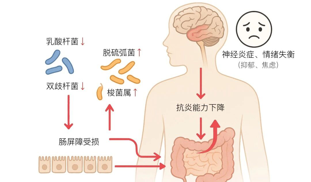微信图片_2025-10-31_094444_217.jpg