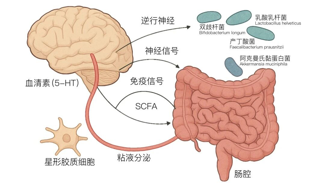 微信图片_2025-10-31_095657_633.jpg