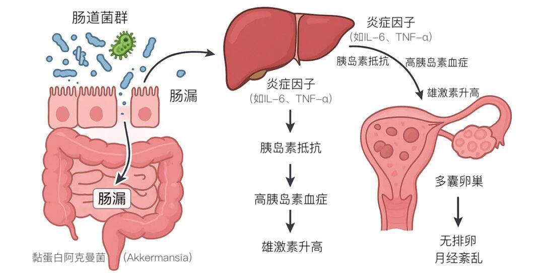 微信图片_2025-10-30_155923_632.jpg