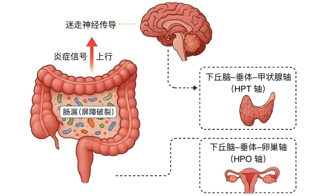 微信图片_2025-10-30_161224_127.jpg
