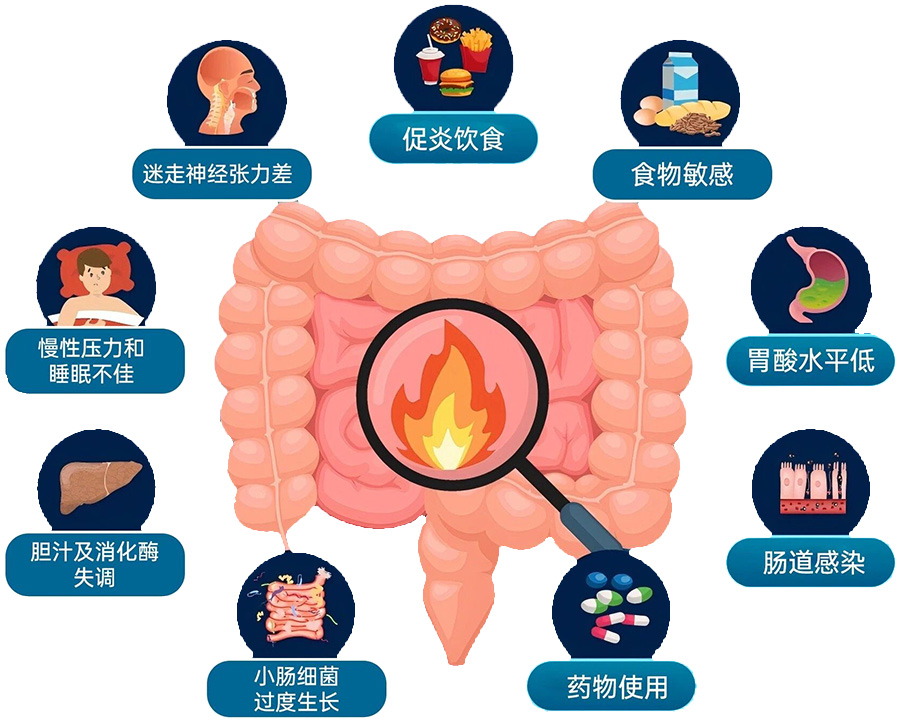 微信图片_2025-10-30_110500_284.jpg