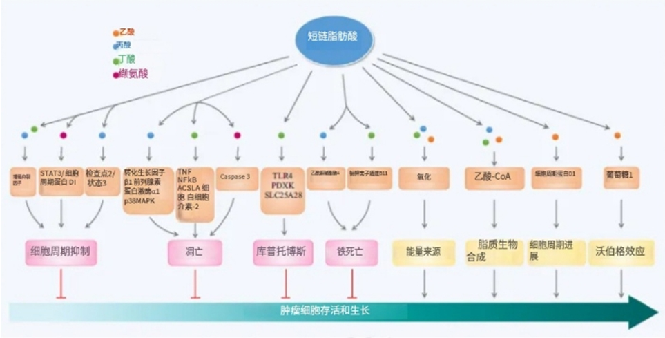 图层 5.jpg