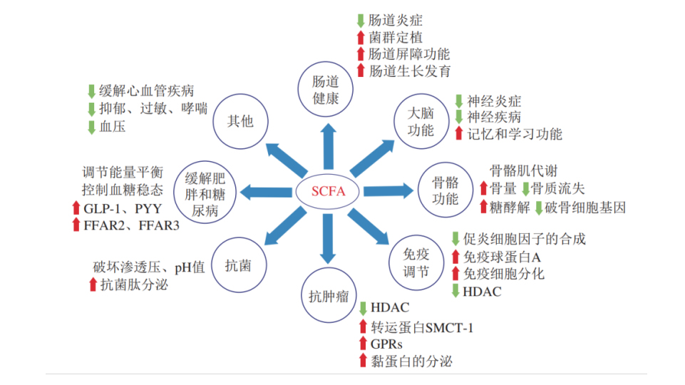 图层 8.jpg