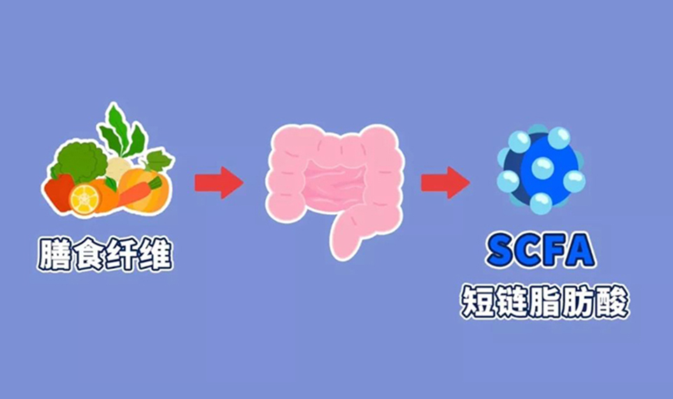 图层 9.jpg