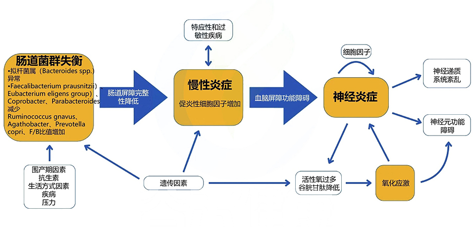 图层 4.jpg