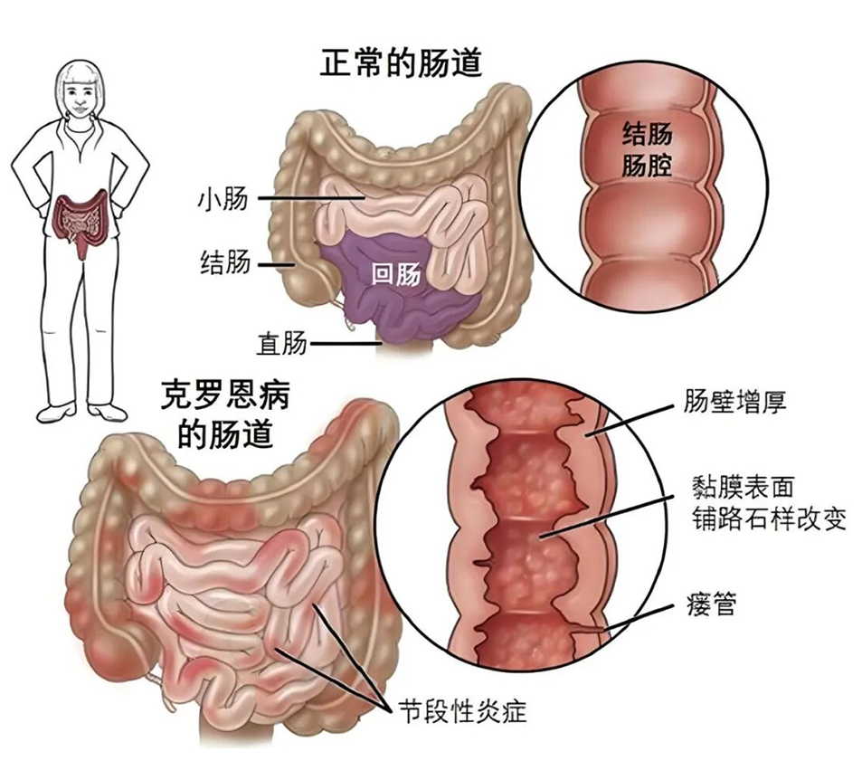 图层 2.jpg